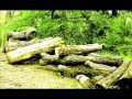 Breaking Away - Ratatat Music Video