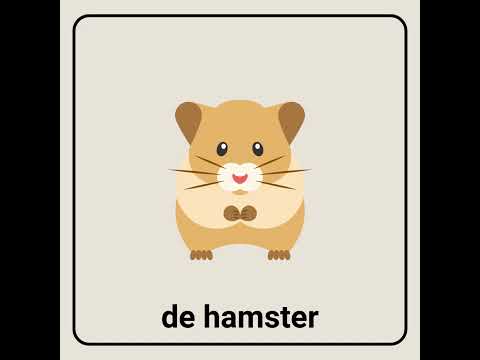 De huisdieren – Woordenschat NT2 Les 16 | Kampioen in Nederlands! Deel 2