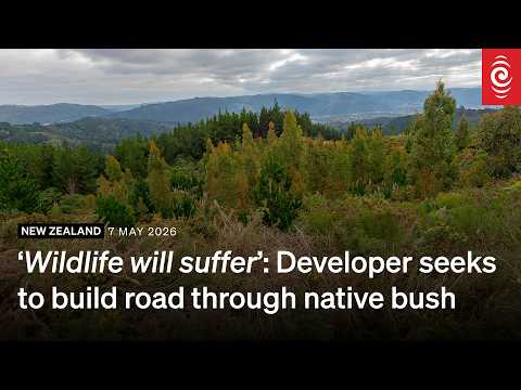 Developer seeks to build road through native bush | RNZ