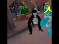 DAISY09 JOINED MY PRIVATE SEVER Gorilla Tag Vr