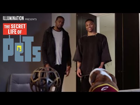 The Secret Life of Pets (Viral Video 'NBA Pets 2')