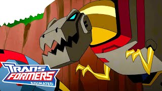 Transformers: Animated | S01 E12 | FULL Episode | Cartoon | Transformers Official