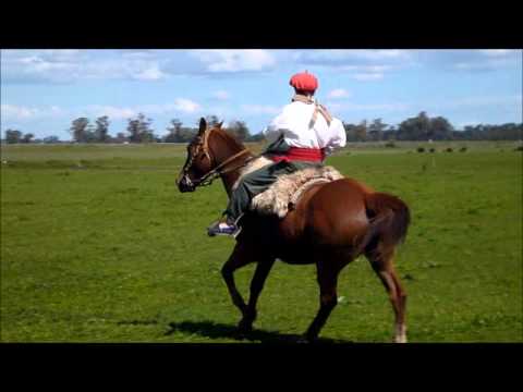Rifa 1 Caballo Manso Mestizo de 10 años