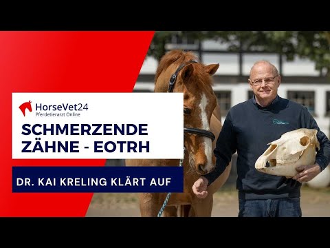 EOTRH beim Pferd, wenn die Zähne schmerzen. EOTRH erkennen