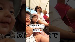 🇺🇸近所のファームへ桃狩りに行きました🍑#アメリカ生活 #アメリカ子育て #3歳児 #桃 #ネクタリン