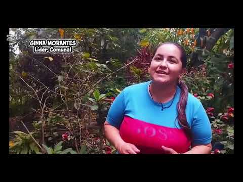 Acción Solidaria "Reforcemos el Ingles" Servicio Social Unadista Enciso, Santander 