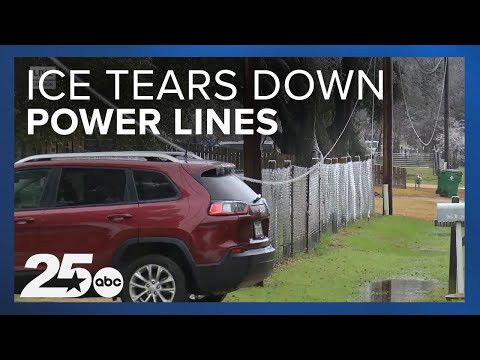 The Texas Ice Storm brought Ice damage in Milam County