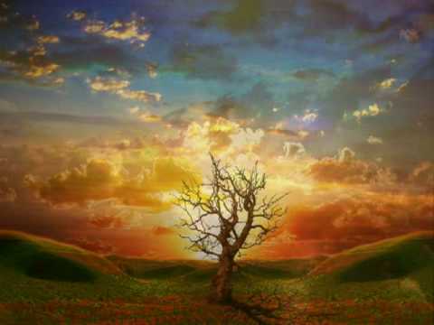 Jan King - Fading away