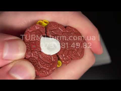 Модель мышц и нервов локтевой части 1:1 - фото 1 - id-p2332829262