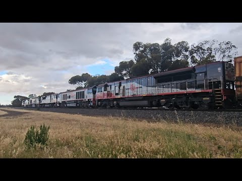 5PM9 SCT up "Dark Ghost" (5 locos, 79P), Forrestfield to Laverton, 1900, 21/12/25, Horsham VIC 