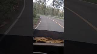 Download lagu jln sore d alas roban mp3