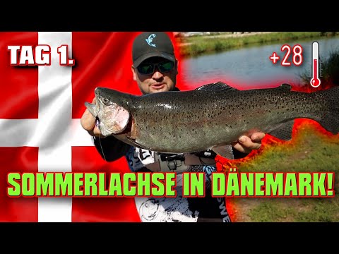 Wir testen eine verrückte Angelidee am Forellensee | Forellenangeln in Dänemark | Rens Fiskesø