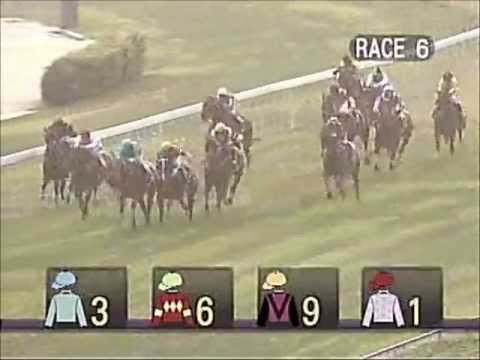 今季又一平頭冠軍:「風情萬種」兩連勝;「保持開心」幫B伍活開齋 (16/3/2013)