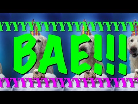 download lagu mp3 mp4 Happy Birthday Bae, download lagu Happy Birthday Bae gratis, unduh video klip Happy Birthday Bae