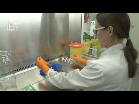 How to open NCTC strains supplied in glass ampoules