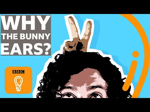 うさ耳サインの暗黒歴史｜BBCアイデア