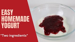 2-Ingredient Homemade Yogurt ~ So Easy Anyone Can Make It!