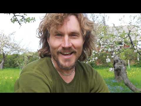 Köp billigast och bäst ängsfrön till din trädgårdsäng!