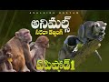 అనిమల్స్ సరదా డబ్బింగ్ Episode 1
