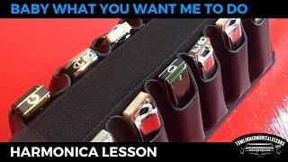 Baby What You Want Me To Do by Jimmy Reed Blues Harmonica Lesson on A Harmonica + Free Harp Tab