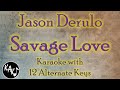 Savage Love Karaoke - Jason Derulo Instrumental Lower Higher Female Original Key Version