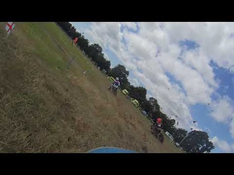 WIMBORNE WHOPPA 2019