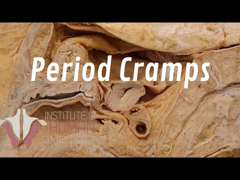 What Are Period Cramps?