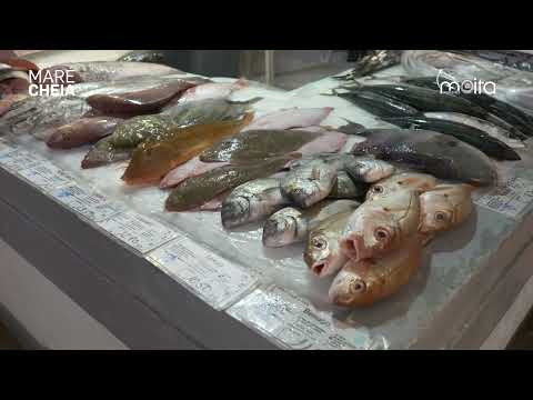 Sabores & Saberes | Caldeirada de Inspiração Fragateira