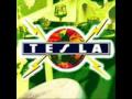 Tesla - Can't Stop