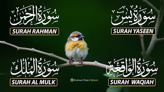 Download lagu The Best Recitation Surah Yaseen (Yasin) | Surah Rahman | Surah Waqiah | Surah Mulk mp3 Download lagu The Best Recitation Surah Yaseen (Yasin) | Surah Rahman | Surah Waqiah | Surah Mulk mp3