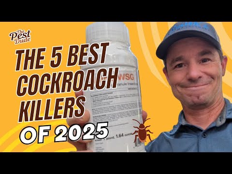 Top 5 Best Roach Killers of 2025, According to an Exterminator