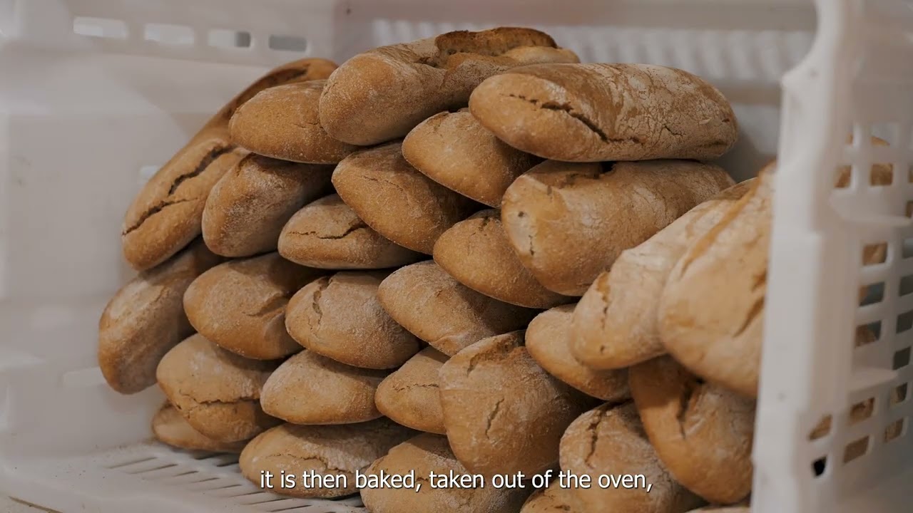 Local and Healthy Bread for Schools: The Plain of Lucca’s Journey