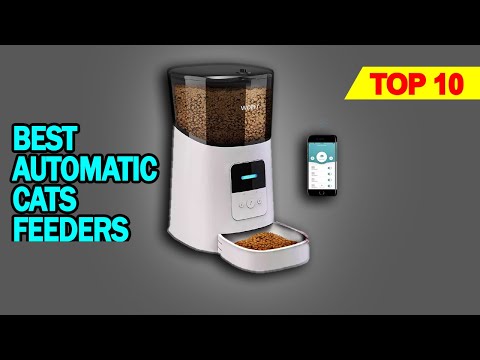 What are the Best Automatic Cats Feeders On Amazon?