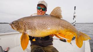 Incredible Ontario Lake Trout