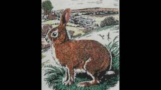 Cleaners from Venus - The Jangling Man