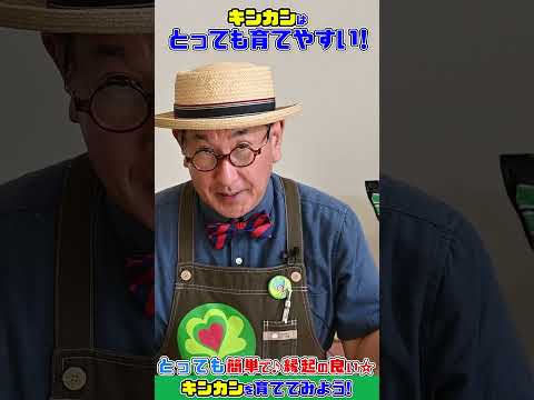 園芸 まさにオリジナルの果樹「メイベリー」