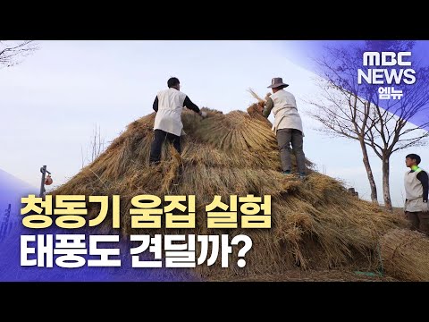 청동기 움집 재현