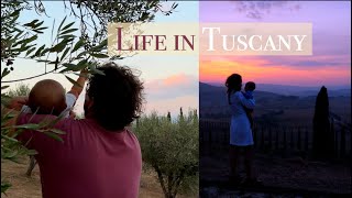 RENOVATING A RUIN: Olive Harvest, Life with a Baby in Italy, Cooking from our Garden
