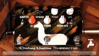 JAM pedals - Delay Llama Supreme video presentation
