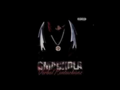 Salt Shakahz cover