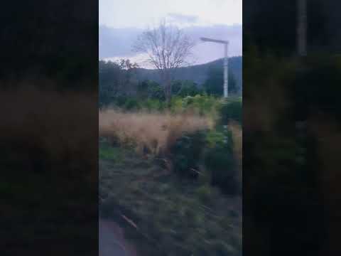 Pelas estradas de Cáceres-MT