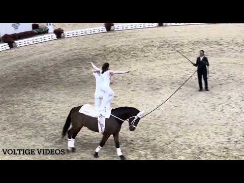 FEI Vaulting World Cup Final Basel 2024 - PDD Team GER (Diana Harwardt & Peter Künne) 1st Round
