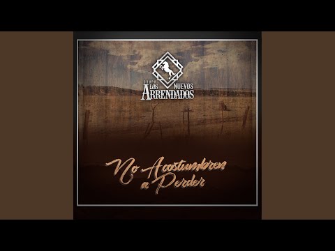No Acostumbren a Perder