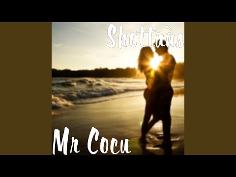Mr Cocu