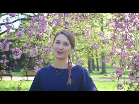 Sladká švédská kuchařka od Děvčete u plotny