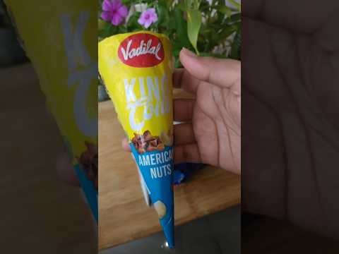 American Nuts Ice Cream(are  the nuts actually from America?🤔)