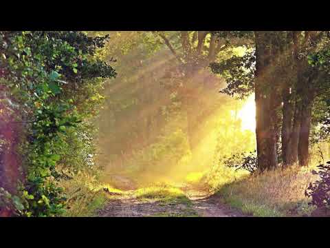 Video 19 aus  Ferienparadies am Rennweg