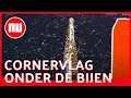 Braziliaanse voetbalwedstrijd begint later door zwerm bijen | NU.nl