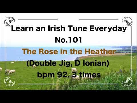 101 The Rose in the Heather (Double Jig, D Ionian)