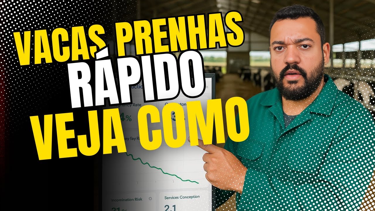 🚀 Gestão REPRODUTIVA no GADO DE LEITE: Onde Você TÁ ERRANDO? 🐄🔥
